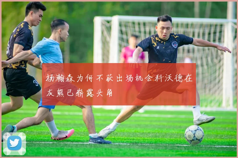 杨瀚森为何不获出场机会科沃德在灰熊已崭露头角