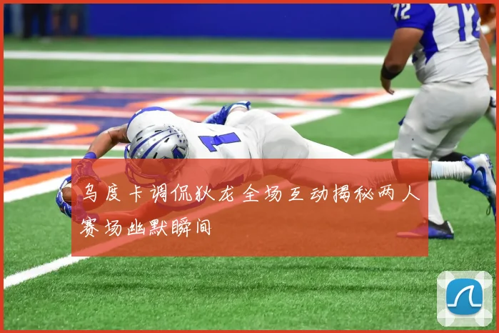 乌度卡调侃狄龙全场互动揭秘两人赛场幽默瞬间