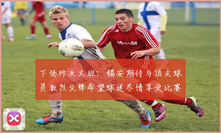 下场对决文班：锡安期待与顶尖球员激烈交锋希望球迷尽情享受比赛乐趣