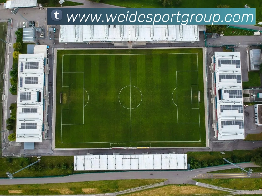 多媒体互动体验